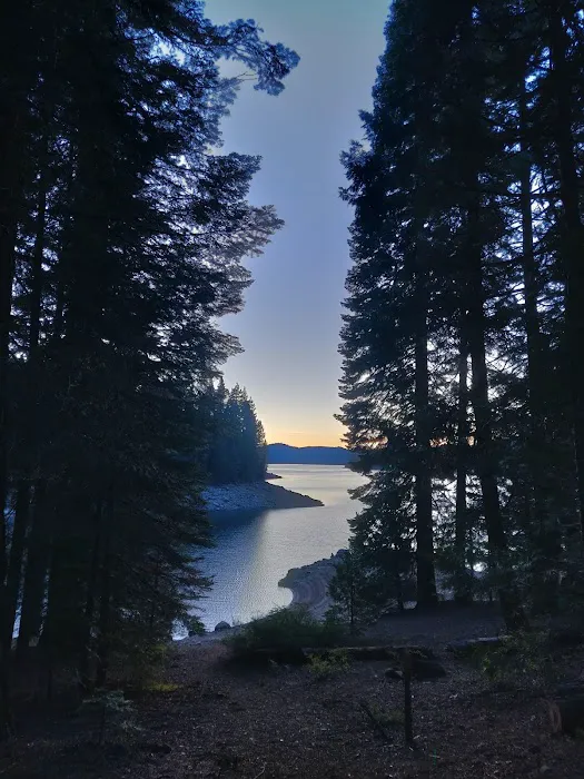 Jones Fork Campground Picture 3
