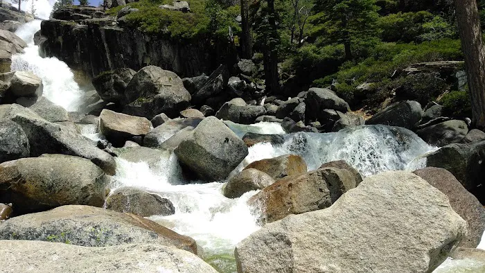 Jones Fork Campground Picture 7
