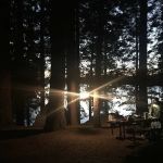 Jones Fork Campground