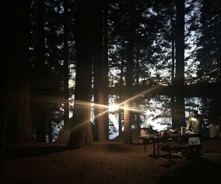Jones Fork Campground