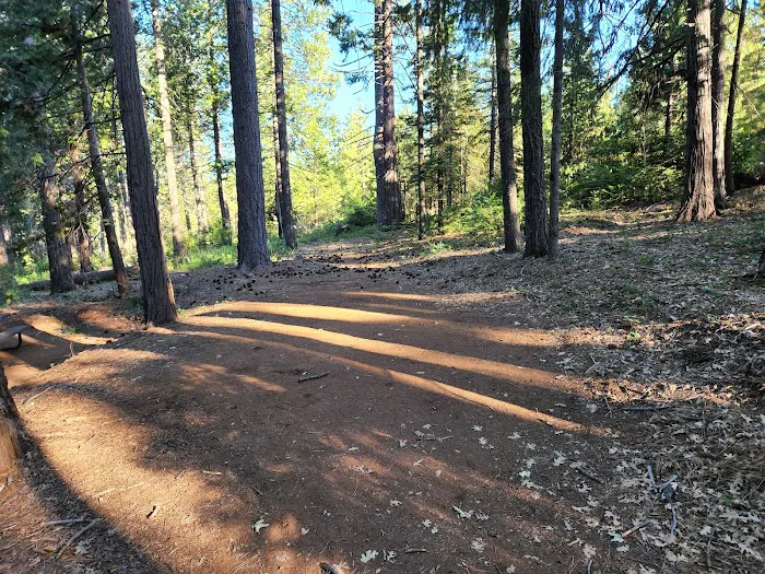 Ponderosa Cove Campground Picture 4