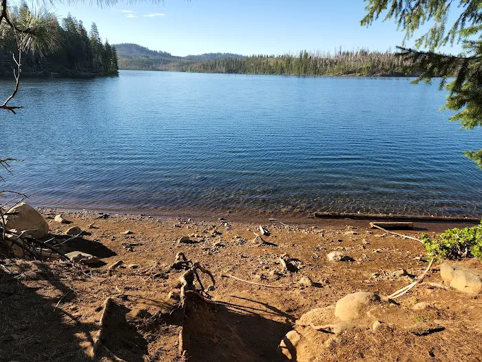 Ponderosa Cove Campground Picture 6