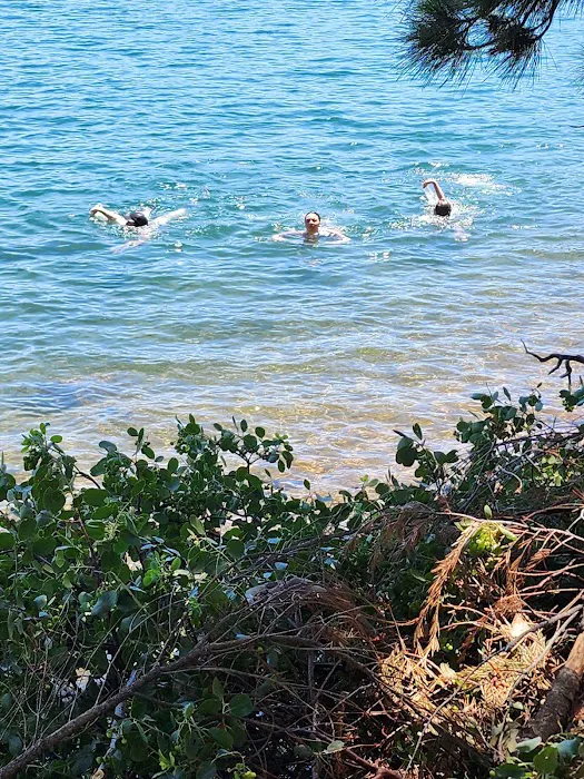 Ponderosa Cove Campground Picture 7