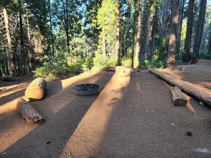 Ponderosa Cove Campground Picture 1