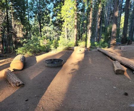 Ponderosa Cove Campground