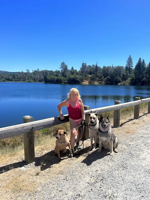 Finnon Lake Campground Picture 9