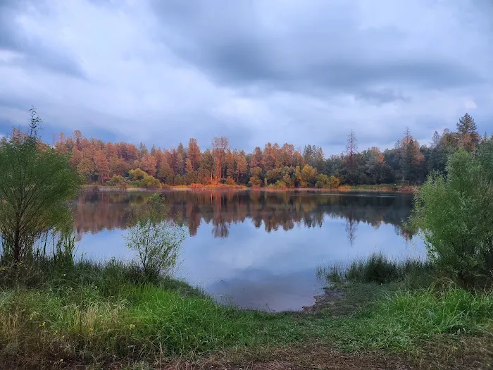 Finnon Lake Campground Picture 3