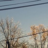 Oak Creek Estates ico