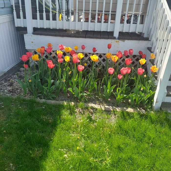 Oak Creek Estates Picture 10