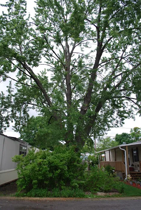 Oak Creek Estates Picture 5