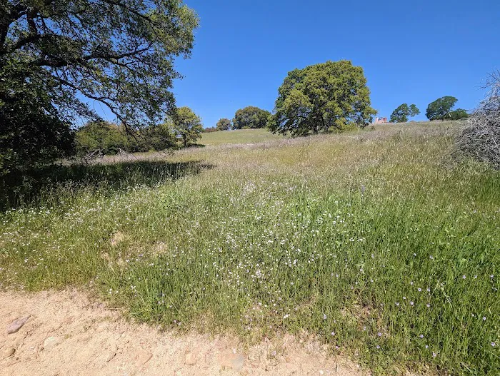 Beals Point Recreation Area Picture 6