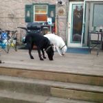 Poynette Mobile Home Estates