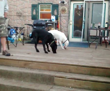 Poynette Mobile Home Estates