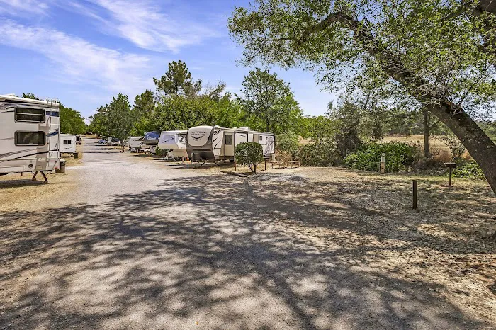 Placerville RV Resort & Campground Picture 9