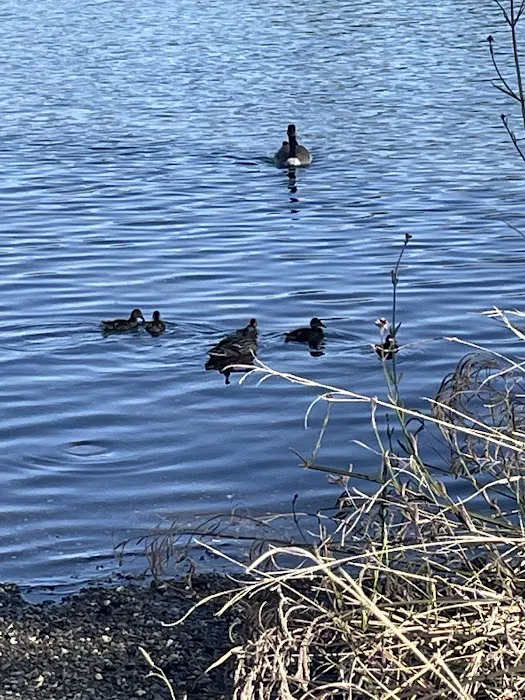 Black Miners Bar Group Camp Picture 1