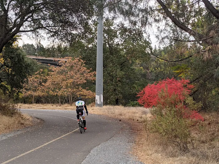 Black Miners Bar Group Camp Picture 10