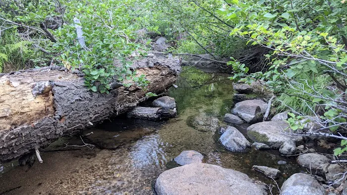 Luther Campground Picture 5