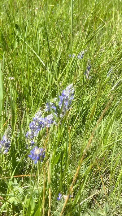 Hope Valley Outdoors Picture 7