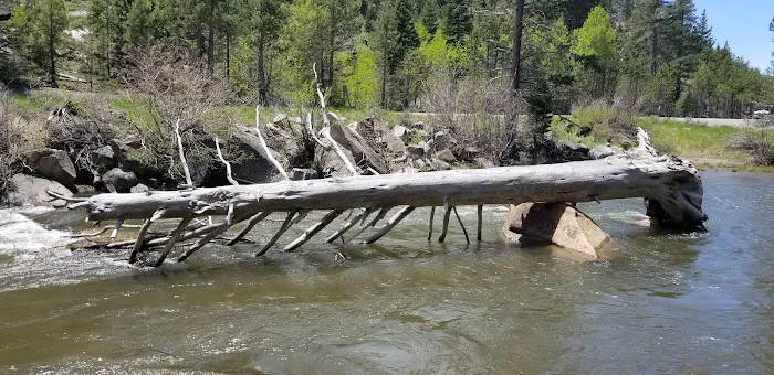Kit Carson Campground Picture 5