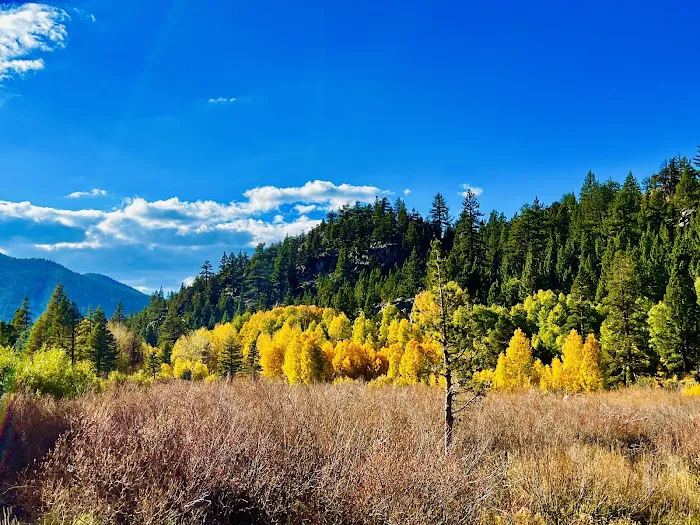 Hope Valley Picture 4