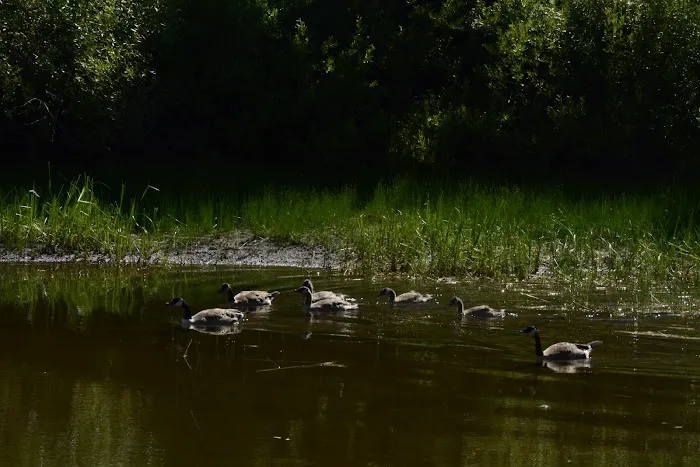 Hope Valley Picture 6