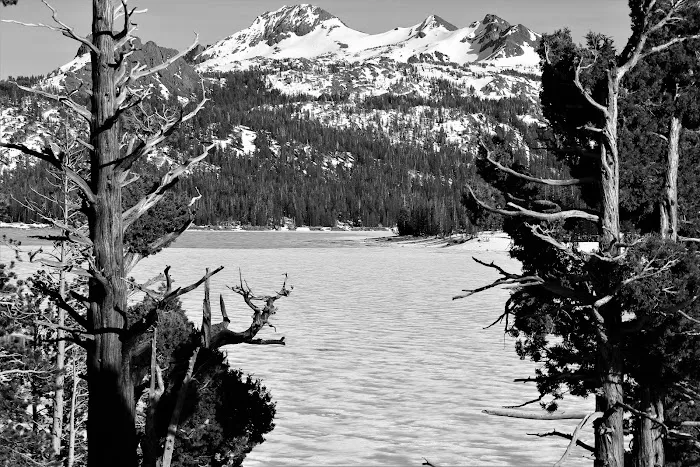 Caples Lake Campground Picture 9