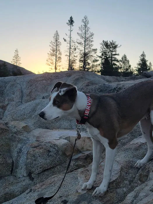 Caples Lake Campground Picture 2