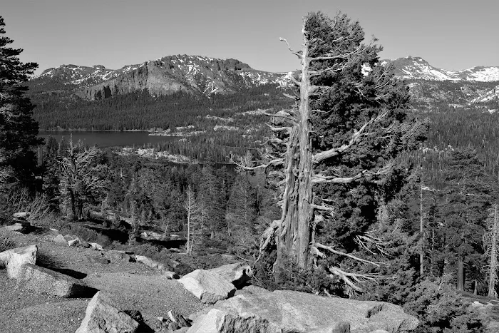 Caples Lake Campground Picture 7