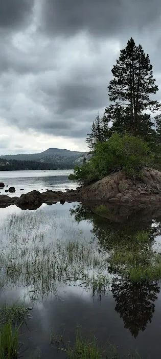 Caples Lake Campground Picture 1