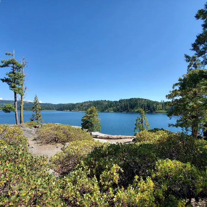 Ice House Campground Picture 4