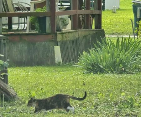 North Hills Mobile Park & Sale