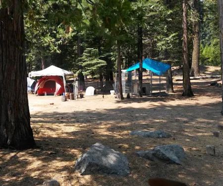 Ice House Campground