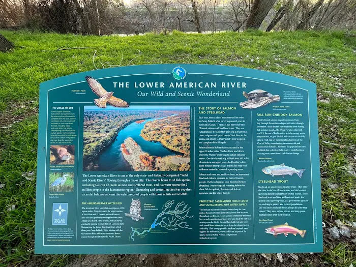 Camp Pollock Picture 8