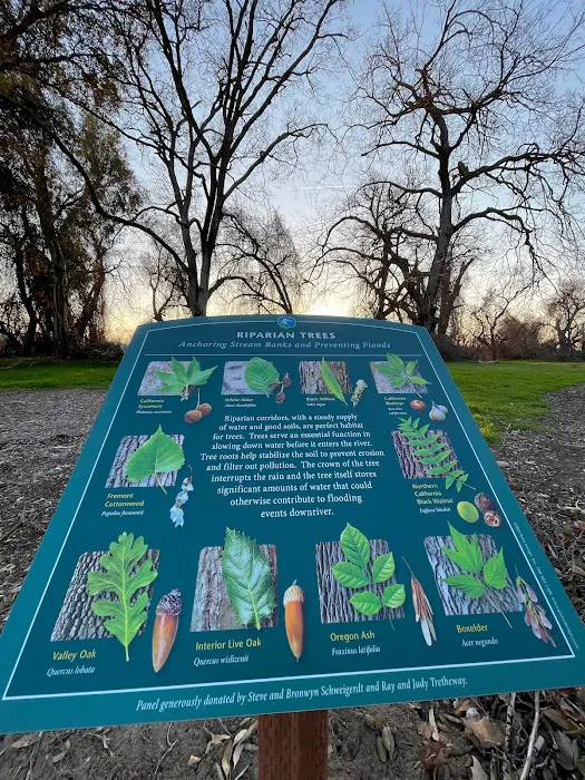 Camp Pollock Picture 9