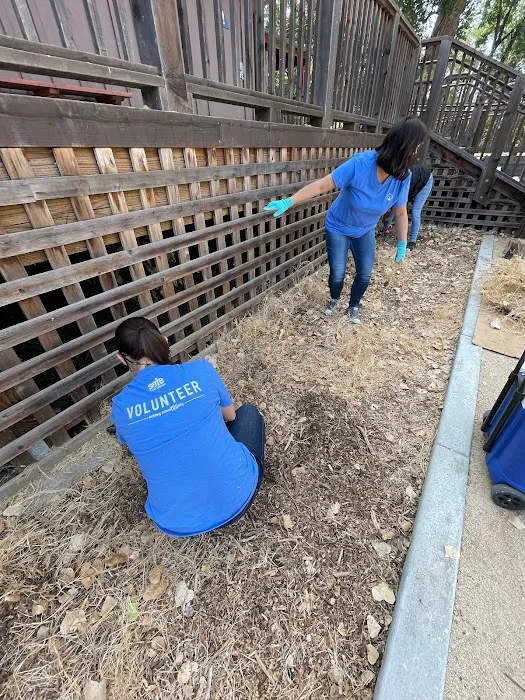 Camp Pollock Picture 3