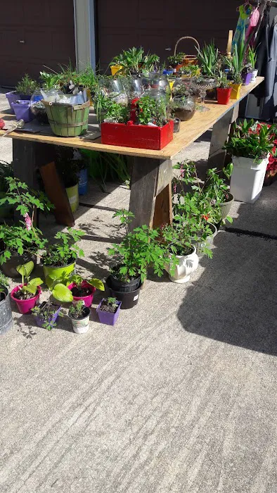 Bali Hai Estates Mobile Home Picture 9