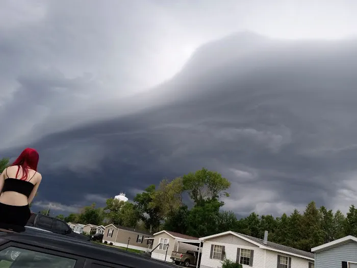 Bali Hai Estates Mobile Home Picture 5