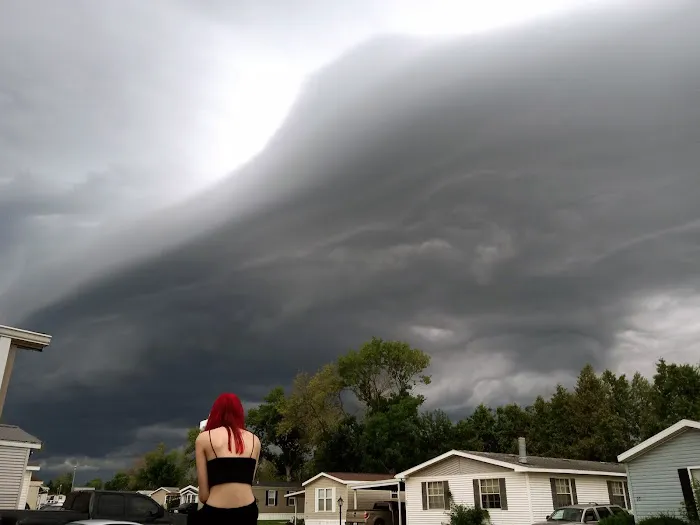 Bali Hai Estates Mobile Home Picture 6