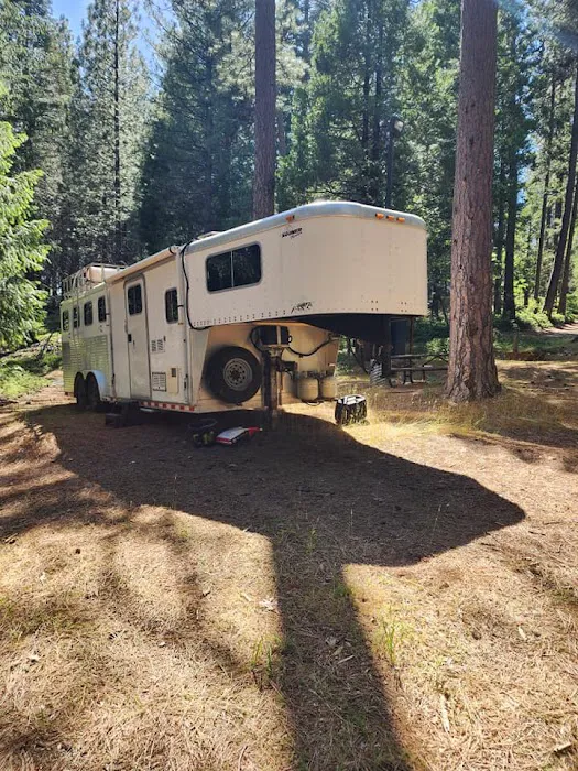 Black Oak Equestrian Camp Picture 4