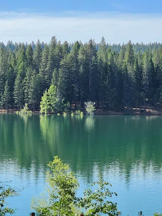 Black Oak Equestrian Camp Picture 6