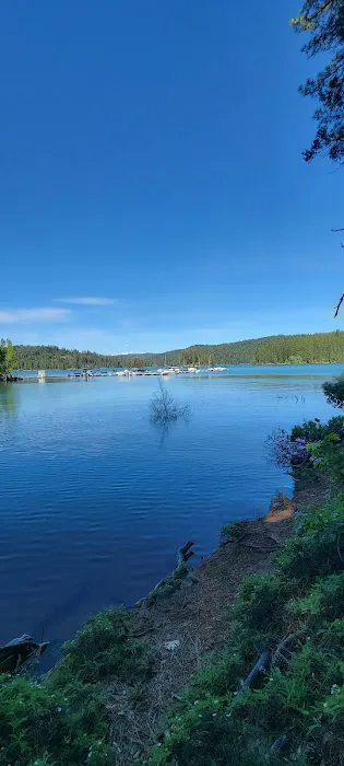 Black Oak Equestrian Camp Picture 3
