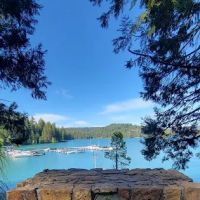 Black Oak Equestrian Camp ico