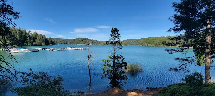 Black Oak Equestrian Camp Picture 2