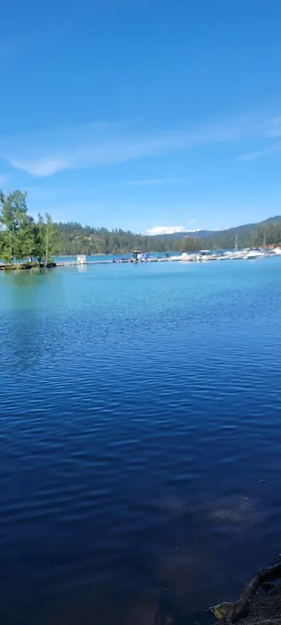 Black Oak Equestrian Camp Picture 8