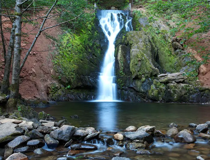 Sly Park Campground Picture 9