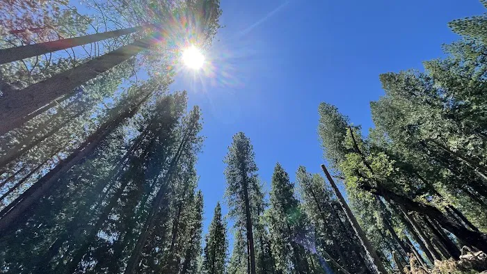 Sly Park Campground Picture 4