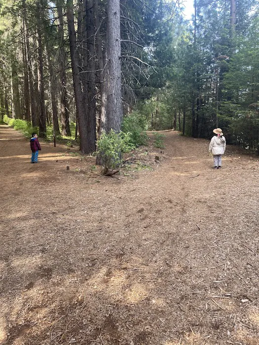 Sly Park Campground Picture 8