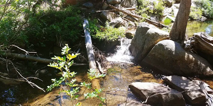 Woods Lake Campground Picture 9