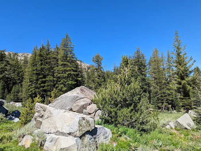 Woods Lake Campground Picture 8