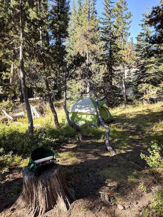 Woods Lake Campground Picture 10